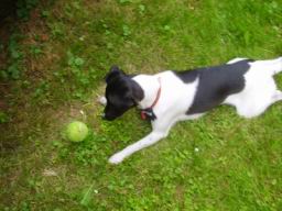 Resize of P8180006.JPG